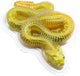 Dissect-seziona una mega confezione regalo di serpente a sonagli