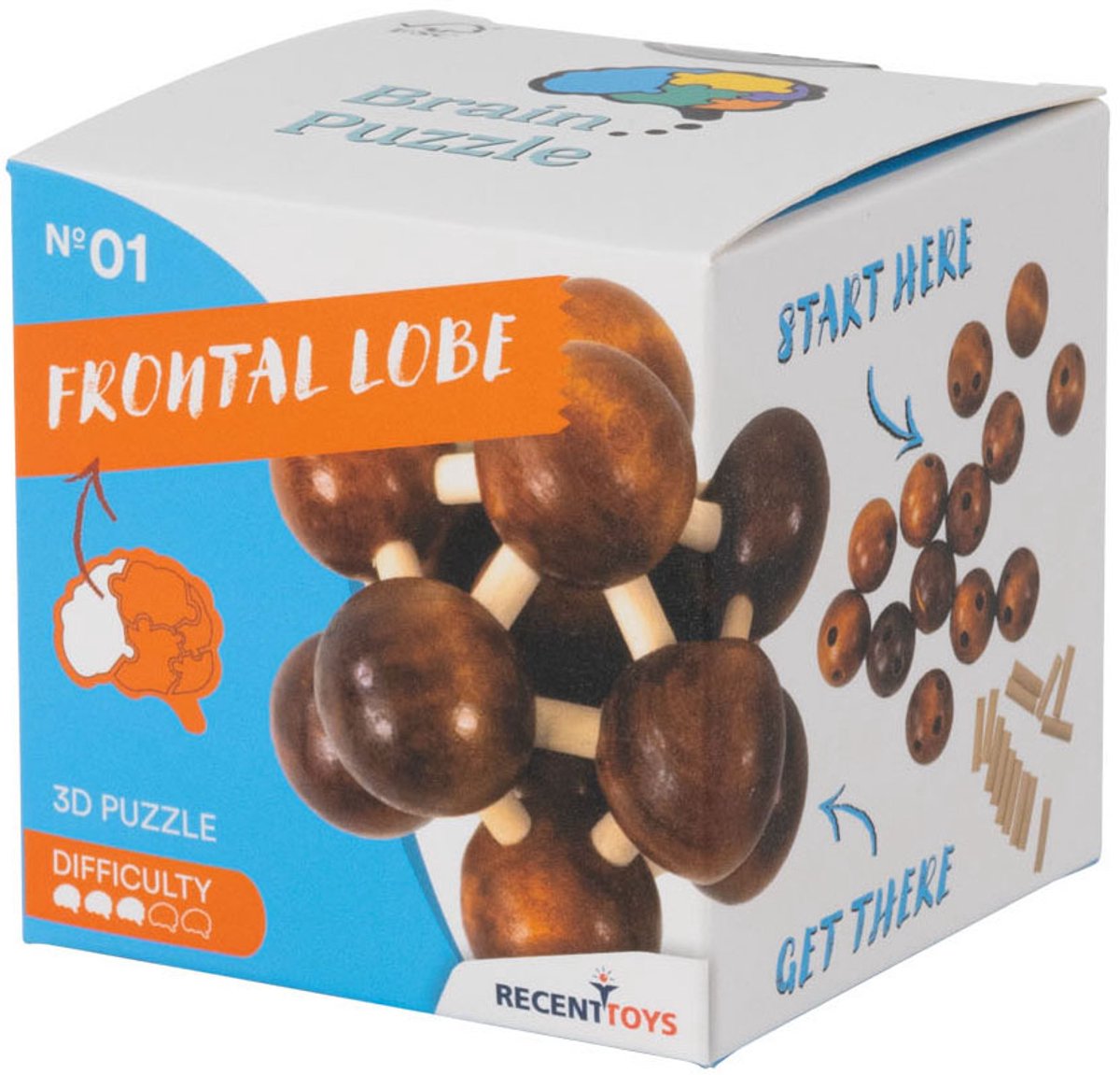 Juguetes recientes rompecabezas de madera rompecabezas del lóbulo frontal - rompecabezas.