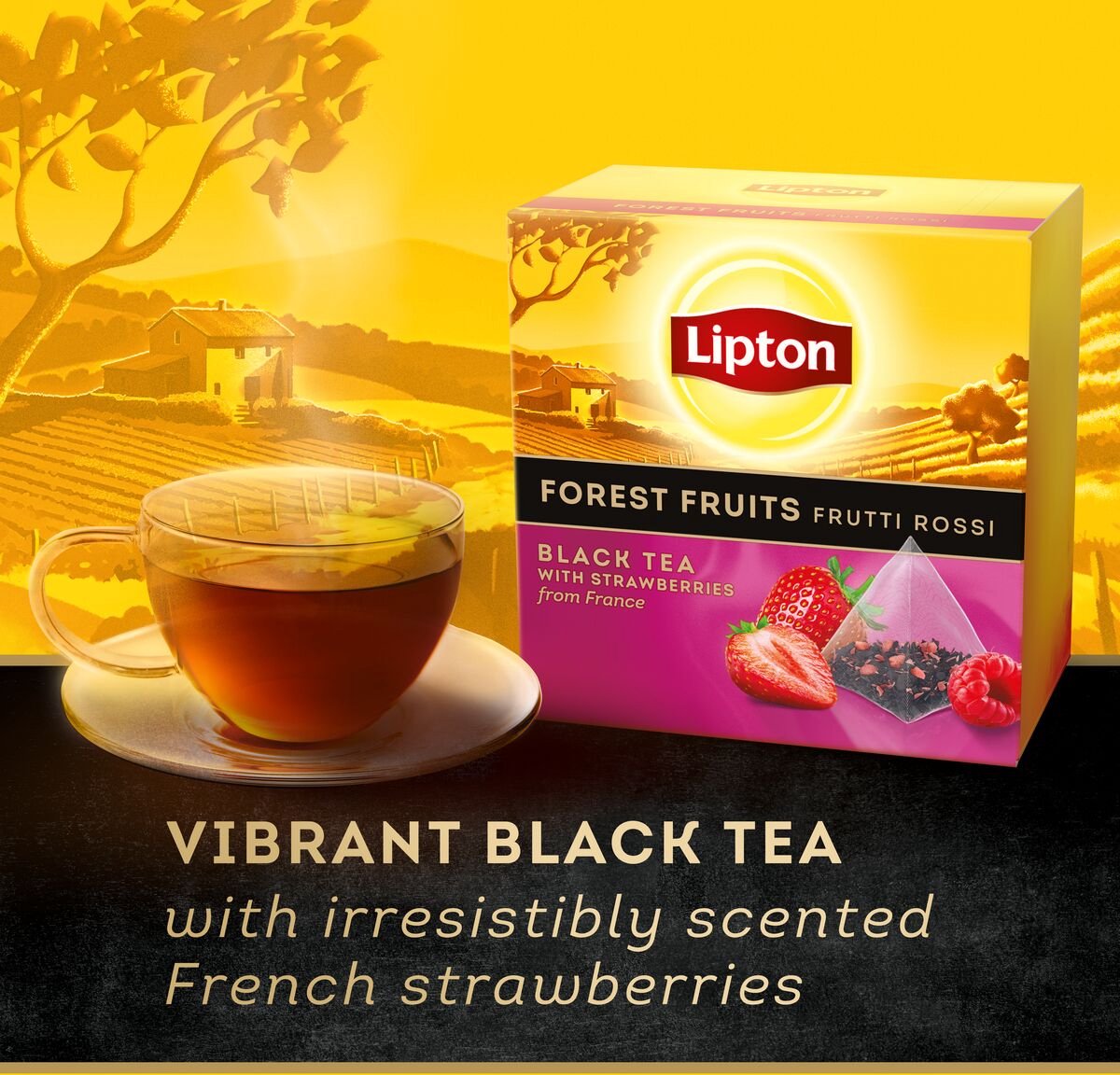 lipton