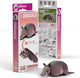 Eugy 3d puzzel - gordeldier - wilde dieren - duurzaam - verzamel ze allemaal - 6 jaar