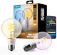 Lampadina LED Govee G80 Smart Edison E27 RGBWW Matter 500 lm 2 pezzi