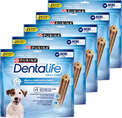 Dentalife
