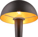 Rl live your light reality canaria - lámpara de mesa - negro-oro - incl. 1x e14 4,9 w - montaje en pared - no regulable