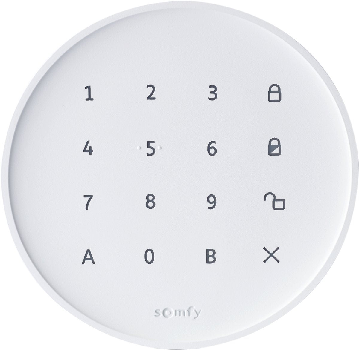 Somfy home alarm essential keypad - cijfercode voor aan- en uitzetten draadloos alarmsysteem - ontvang melding als code wordt gebruikt