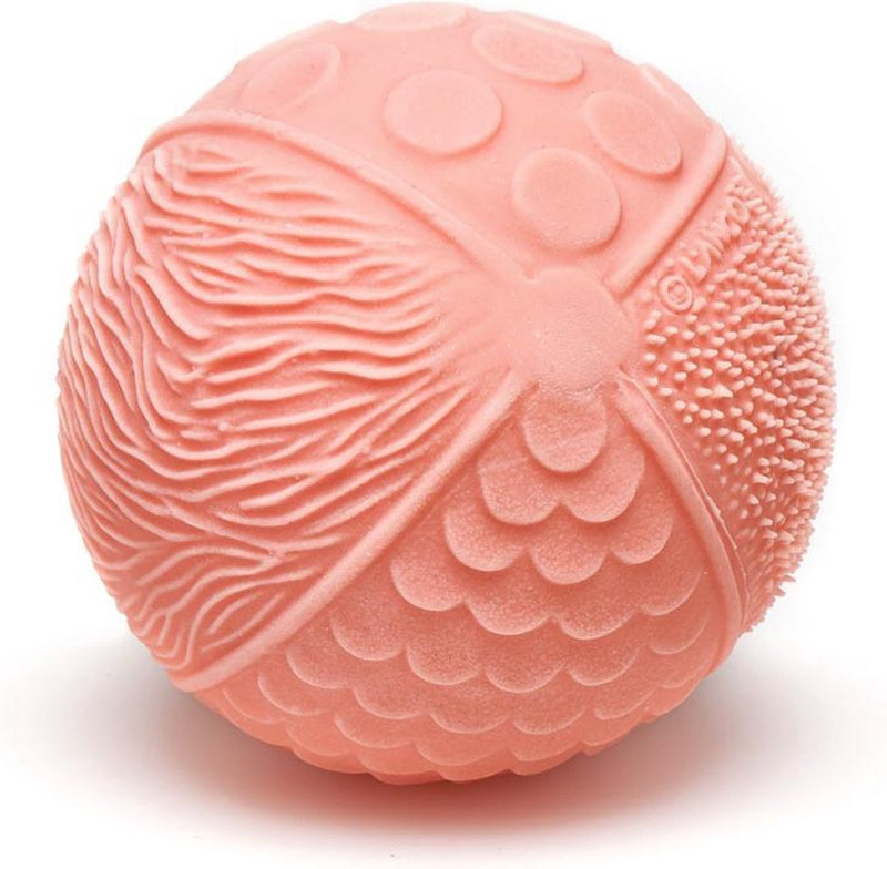 Lanco Toys Lanco Sensory Toy Rosa Oscuro - Juguete para la dentición de Caucho 100% Natural - 0+ Meses - Sin BPA PVC - Caja de Regalo Beige