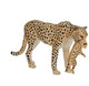 Mojo Wildlife Cheetah Female con Cub 387167