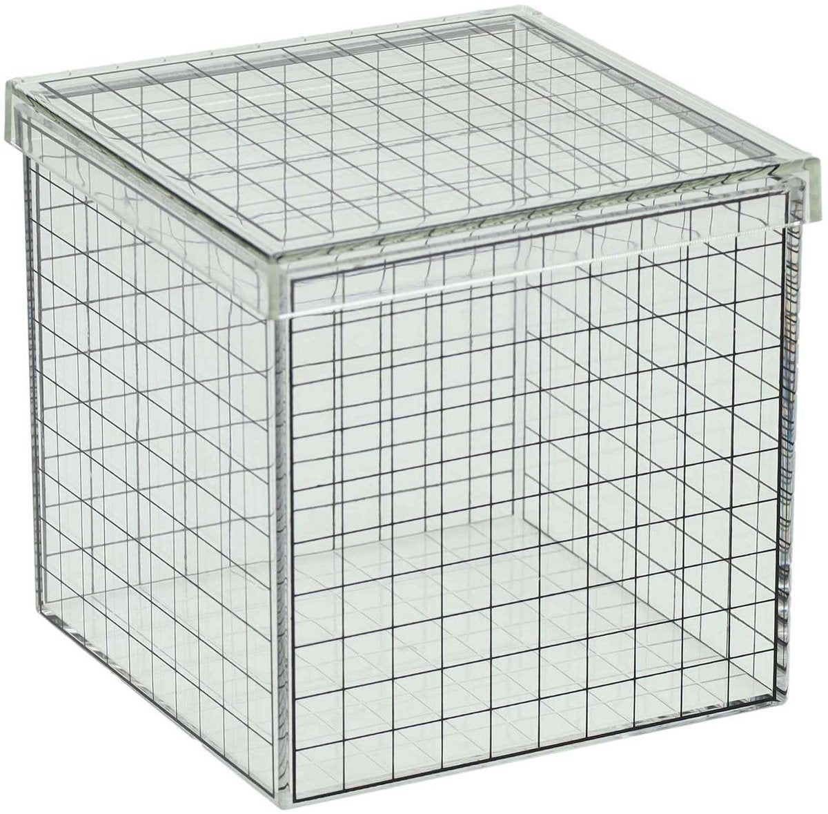 Cubo griglia 3D trasparente - 10x10x10 cm