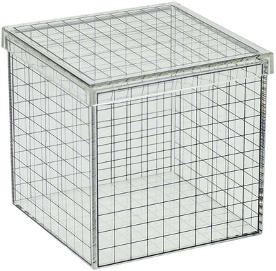 Cubo griglia 3D trasparente - 10x10x10 cm