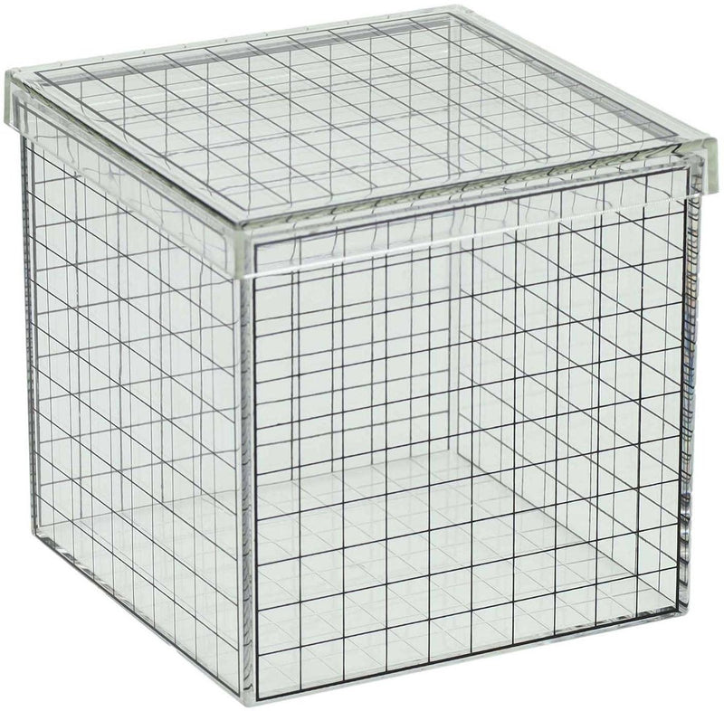 Cubo griglia 3D trasparente - 10x10x10 cm