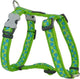 Red dingo hondentuig 15mm neck 30-48cm body 36-54cm dh-st-lg-15