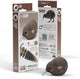 Puzzle 3d Eugy - kiwi brown - uccelli - sostenibile - collezionali tutti - 6 anni