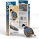 Puzzle Eugy 3d - codornices - pájaros - sostenible - colecciónalos todos - 6 años
