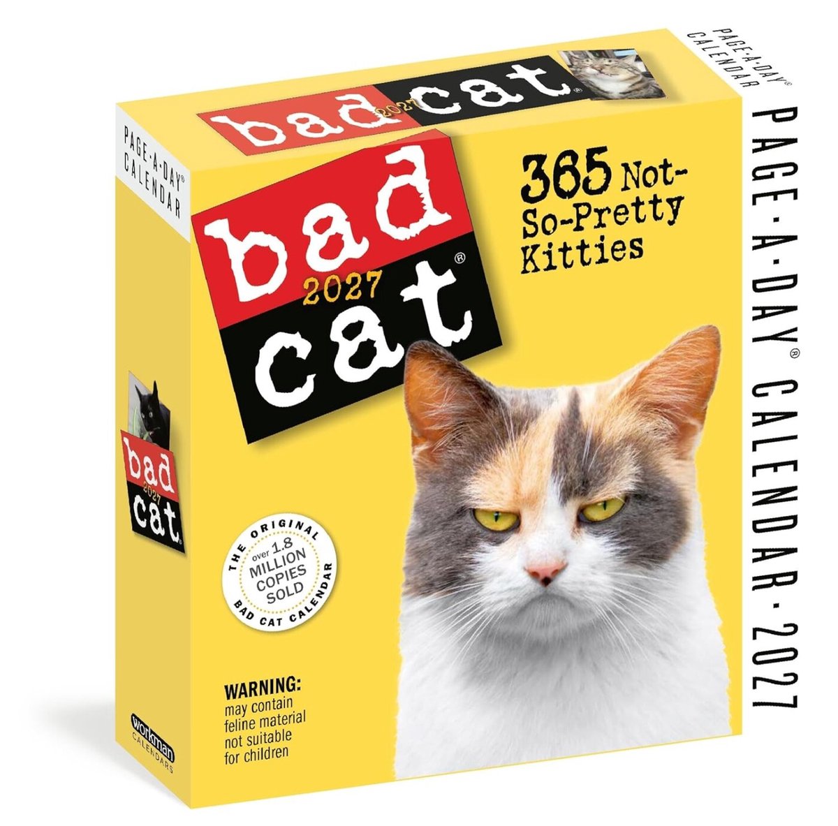Calendario Bad Cat Page-a-Day® 2027