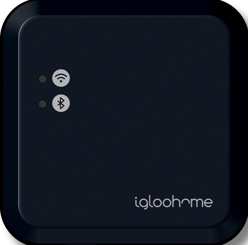 Ponte wi-fi Igloohome
