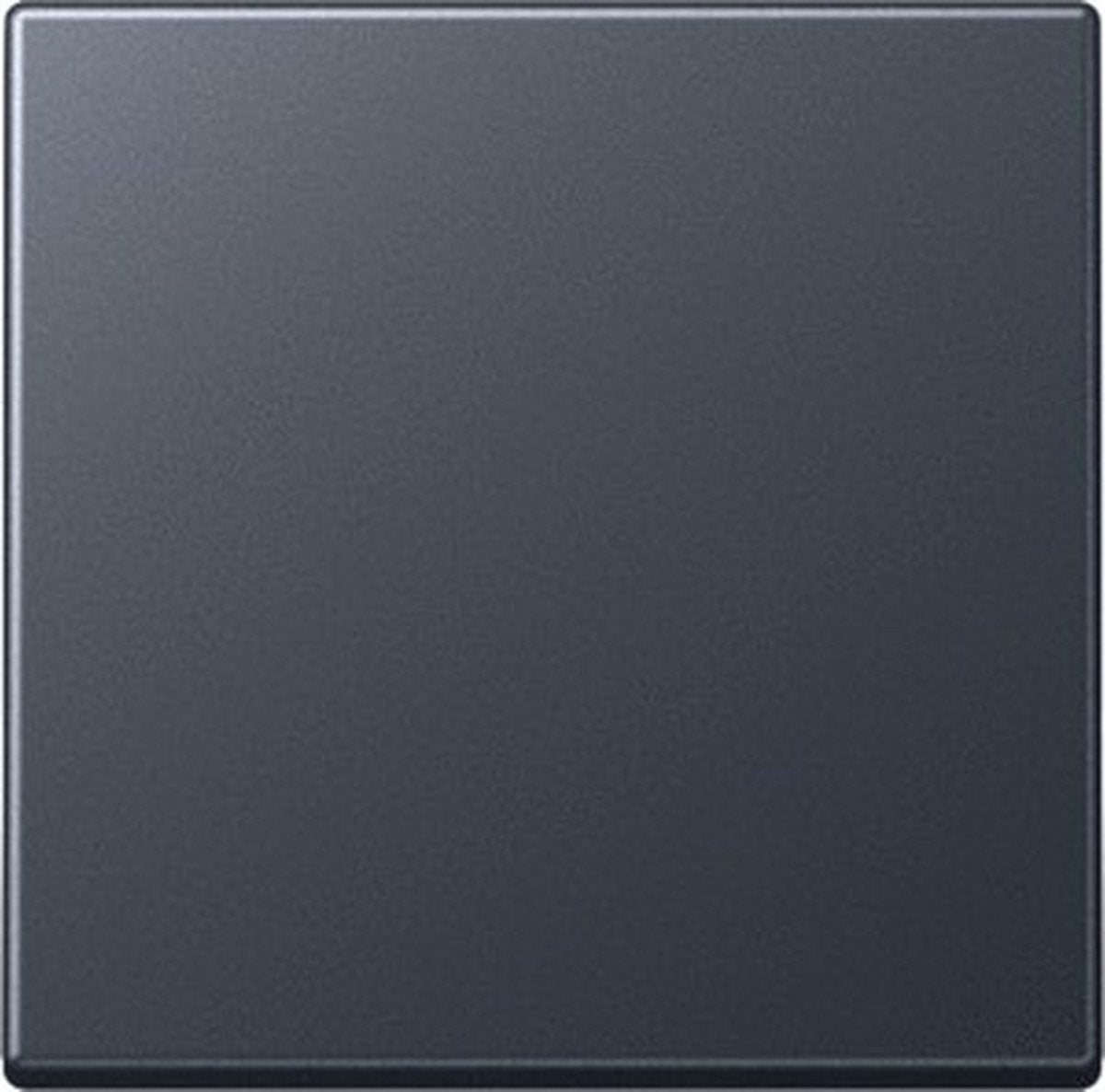 Elemento di comando Jung quadro piastra centrale - a590bfanm - e365a