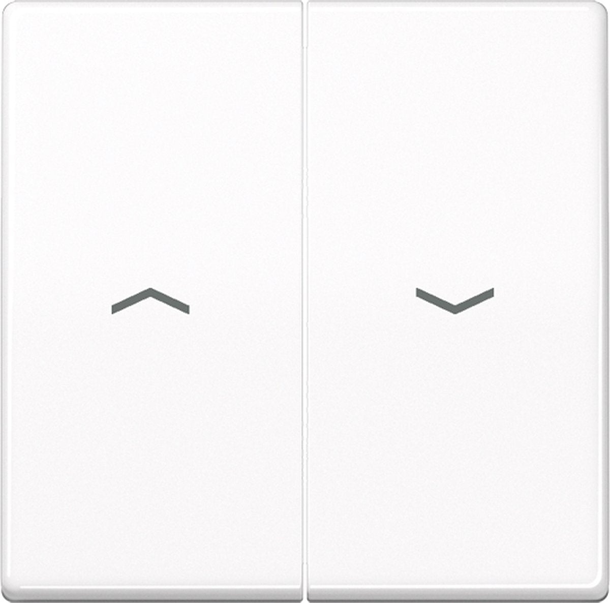 Jung as500 schakelelement centrale plaat - as591-5pww - e32r4
