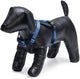 Beeztees parinca premium y-harness - arnés para perros - nylon - azul - 37-40 cm x 15 mm