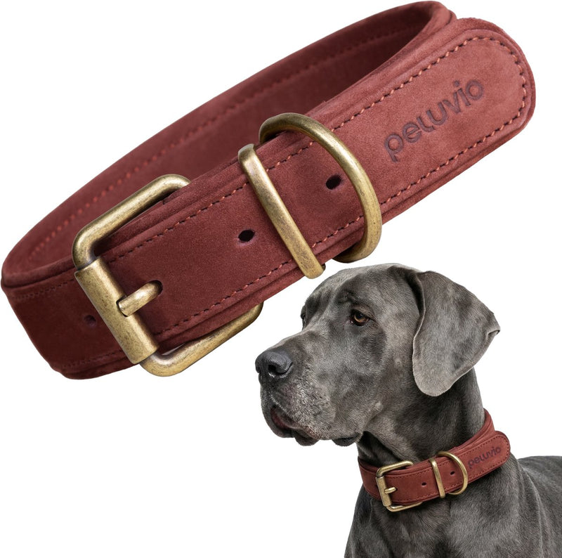 Peluvio rexor – collare per cani in pelle – marrone – l-xl 53-63 cm – larghezza 4 cm – collare regolabile in pelle di vacchetta – fibbia in rame – per cani molto grandi