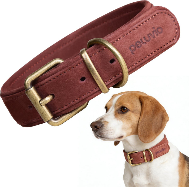 Peluvio rexor – collar de cuero para perros – marrón – m 36-44 cm – 3 cm de ancho – collar ajustable de piel de vacuno – hebilla de cobre – para perros de tamaño mediano