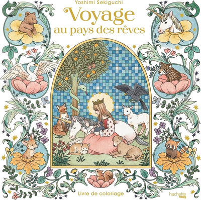 Hachette heroes voyage au pays des reves live de coloriage - yoshimi sekiguchi - - coloring book for adults