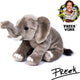 Freek Spark x Bresser