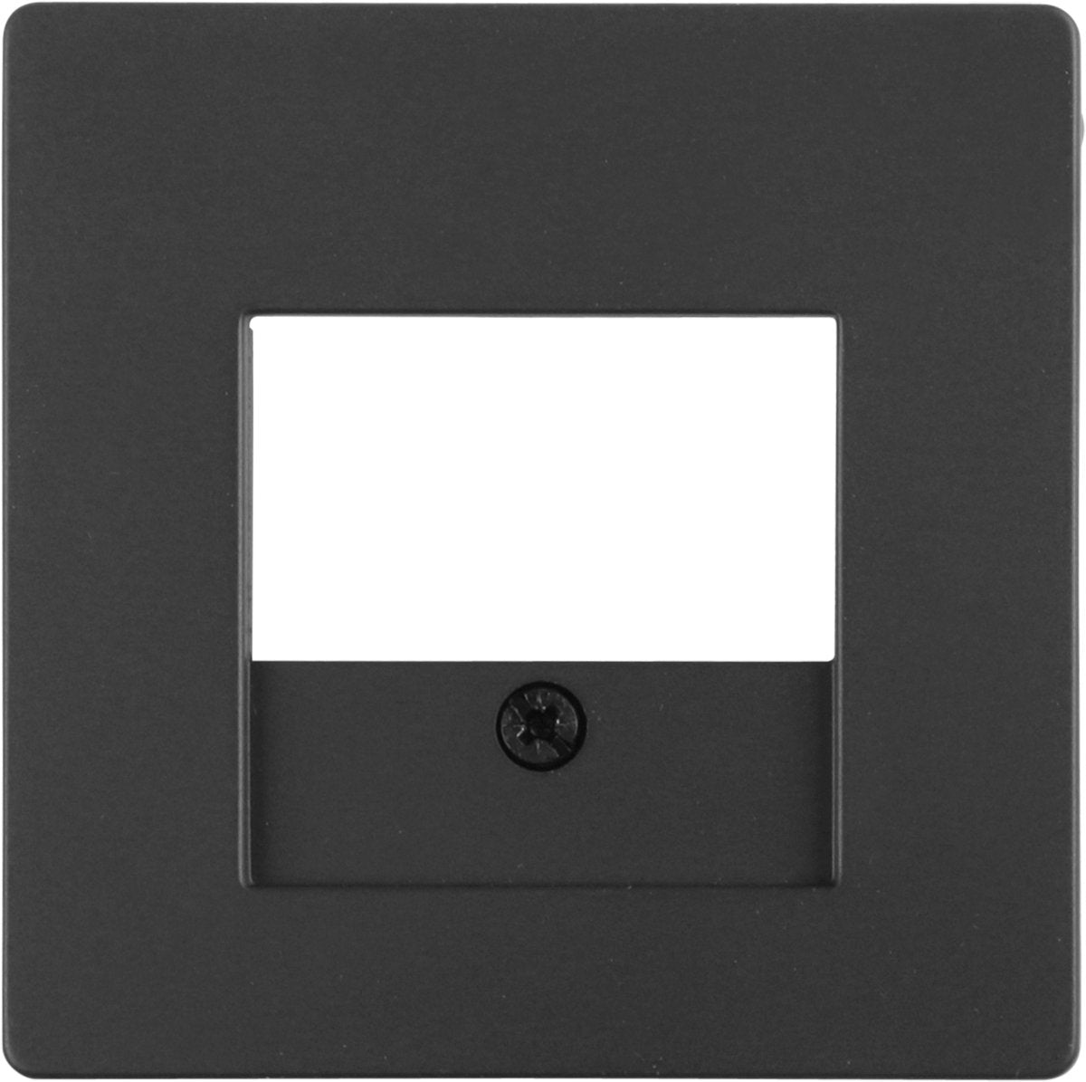 Placa Berker Q1 - TAE USB - color acero inoxidable