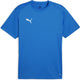 Puma teamgoal jersey heren sportshirt - electric blue lemonade- white- team royal