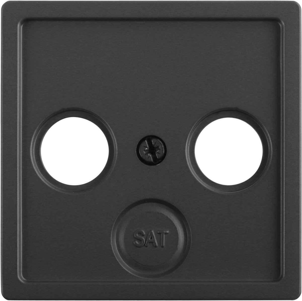 Placa central Berker q1 - radio TV - antracita