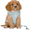 Trixie Dog Eigen Junior Puppy Softhire con Riem Mintgroen