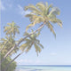 Sottomano Sigel - spiaggia - 59,4x41cm - con calendario 2023 2024 2025 - sottomano - si-ho470