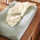 Jollein - Coprifasciatoio in spugna 50x70 cm - Coprifasciatoio morbido - verde acqua - 2 pezzi
