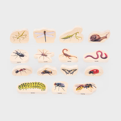 Tickit® wooden minibeast blocks