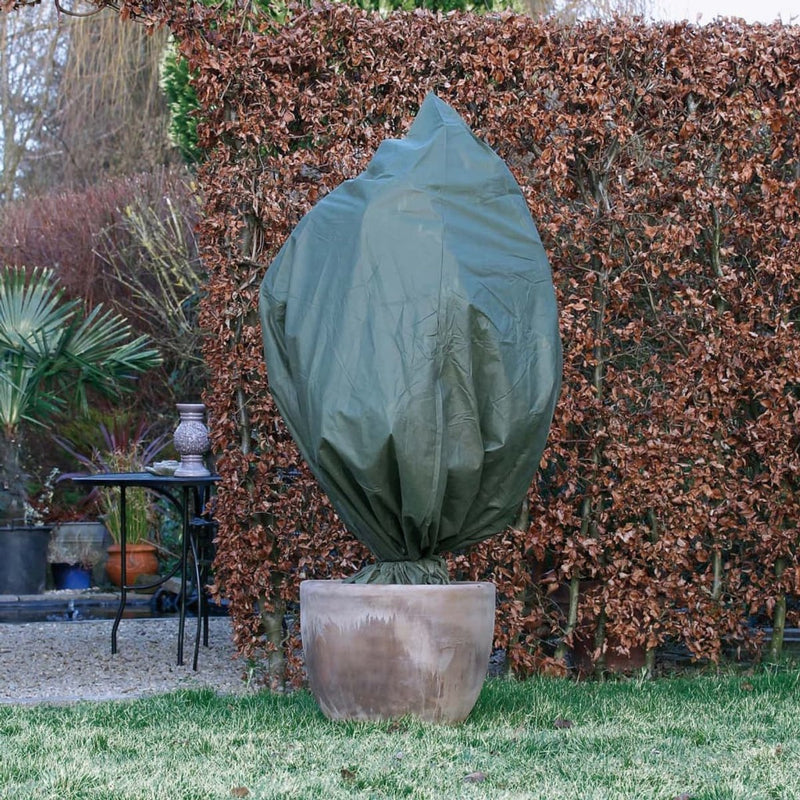 Nature Nature Winterswiker Cubiertas de telas 2 pcs 50 g m² 150x75 cm verde