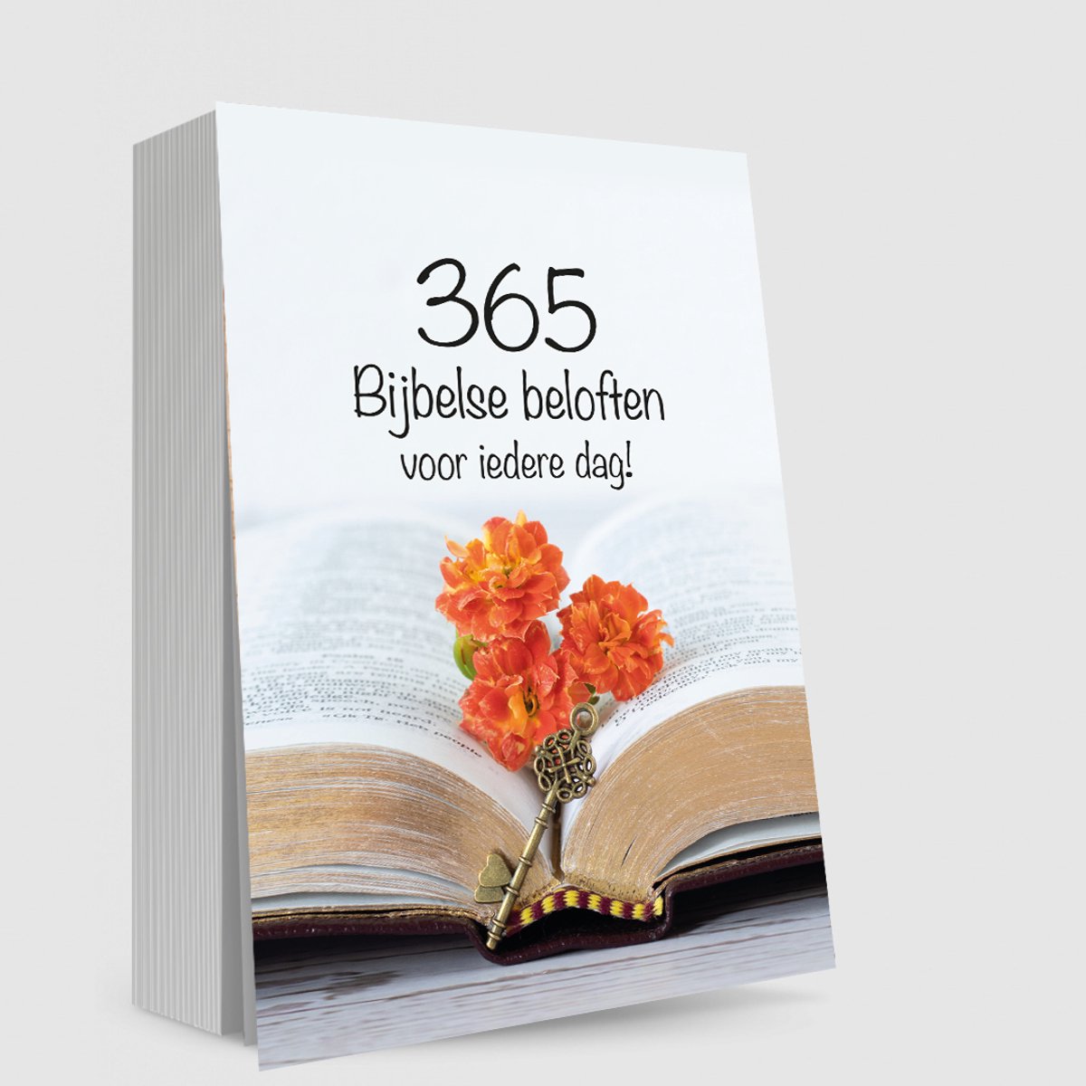 Brandless sans marque 365 promesse bibliche