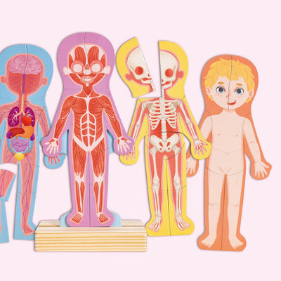 Puzzle magnetico del corpo umano Hape - 63 pezzi.