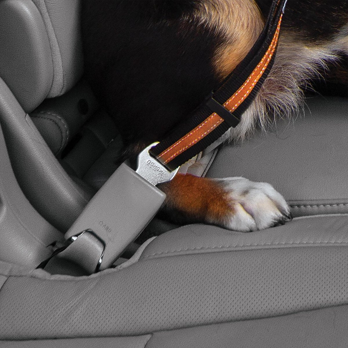 Presilla para cinturón de seguridad para perros Kurgo - cinturón de seguridad con mosquetón - se adapta a cualquier cinturón de coche - negro gris