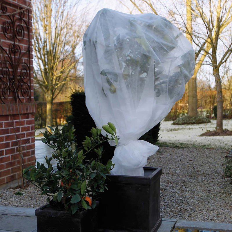 Nature Nature Winter Cover 30 g m² 2x5 m bianco