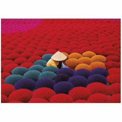 Puzzle Educa Villaggio dell'Incenso Vietnam 1000 pezzi colorati.