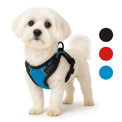 Arnés para perros Flamingo - arnés para perros - arnés para perros anti tirones - arneses para perros - arnés para perros anti tirones - balou - azul - talla s - a:31-55cm b:40-55cm