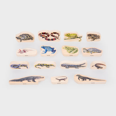 Tickit® wooden reptile and amphibian blocks