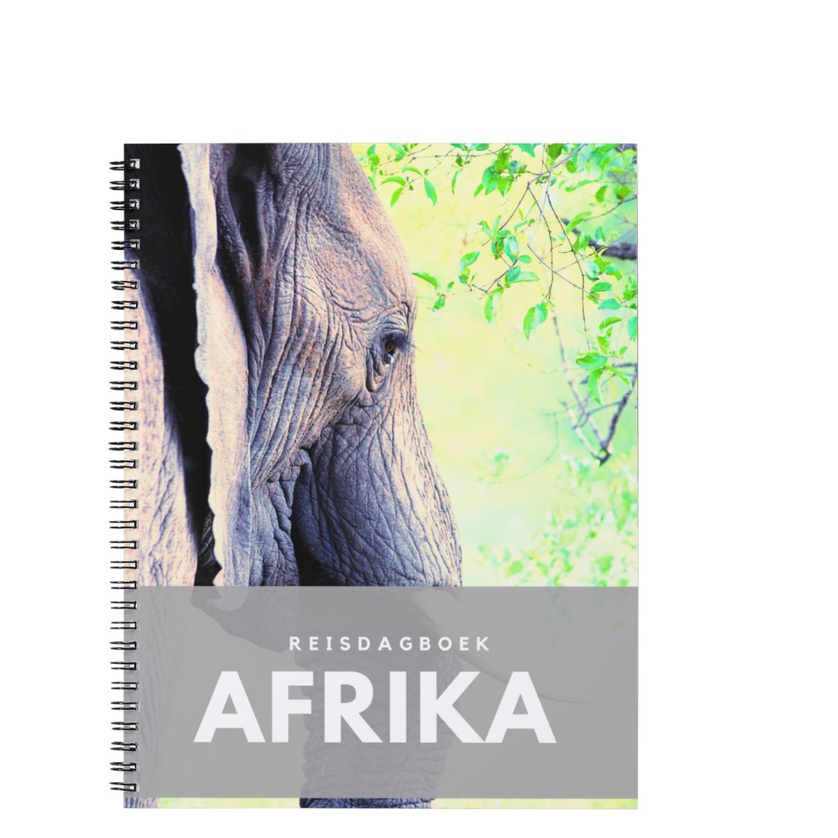 Anika redhed diario di viaggio Africa (safari)