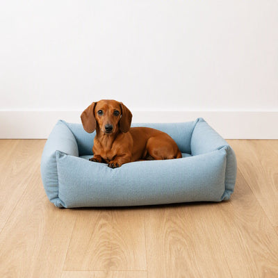 D d home - cuccia per cani eden - fodera lavabile idrorepellente - ocean - piccola 70x60x20cm