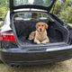 Duvo plus - coperta per animali - cane - comoda coperta protettiva per valigia 147x120 cm nera - 1pz