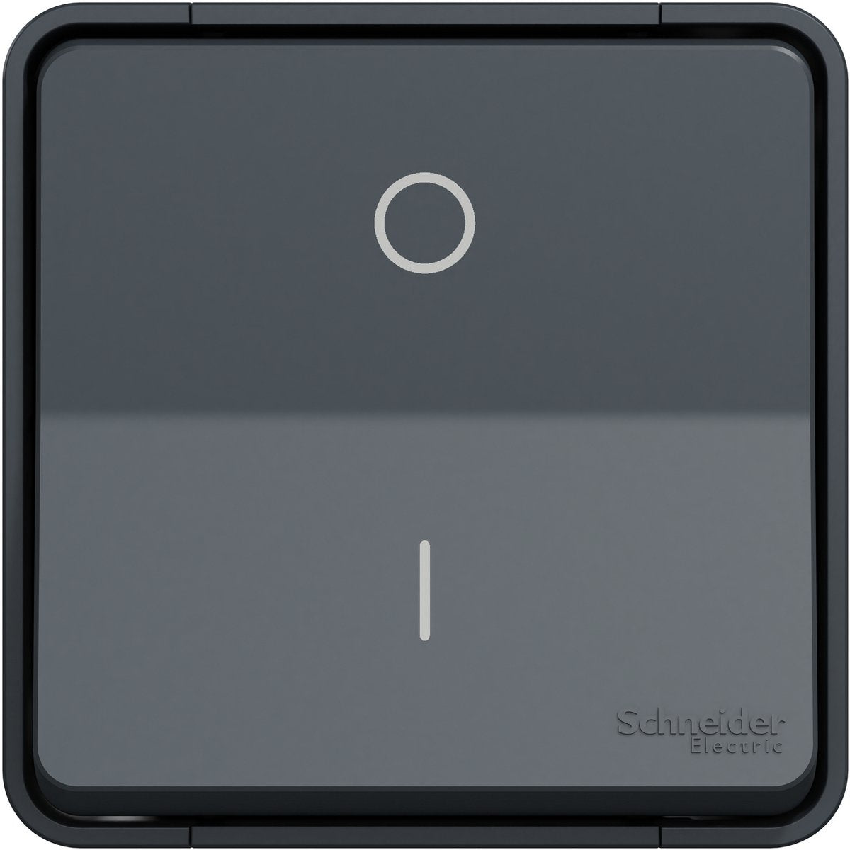 Schneider electric mureva styl fai da te - interruttore bipolare - grigio antracite