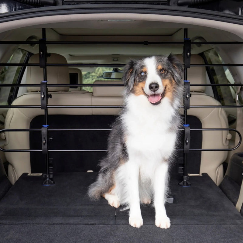 Barrera metálica para perros Petsafe happy ride - estructura metálica segura para el maletero del coche - no requiere herramientas - sin sonajero