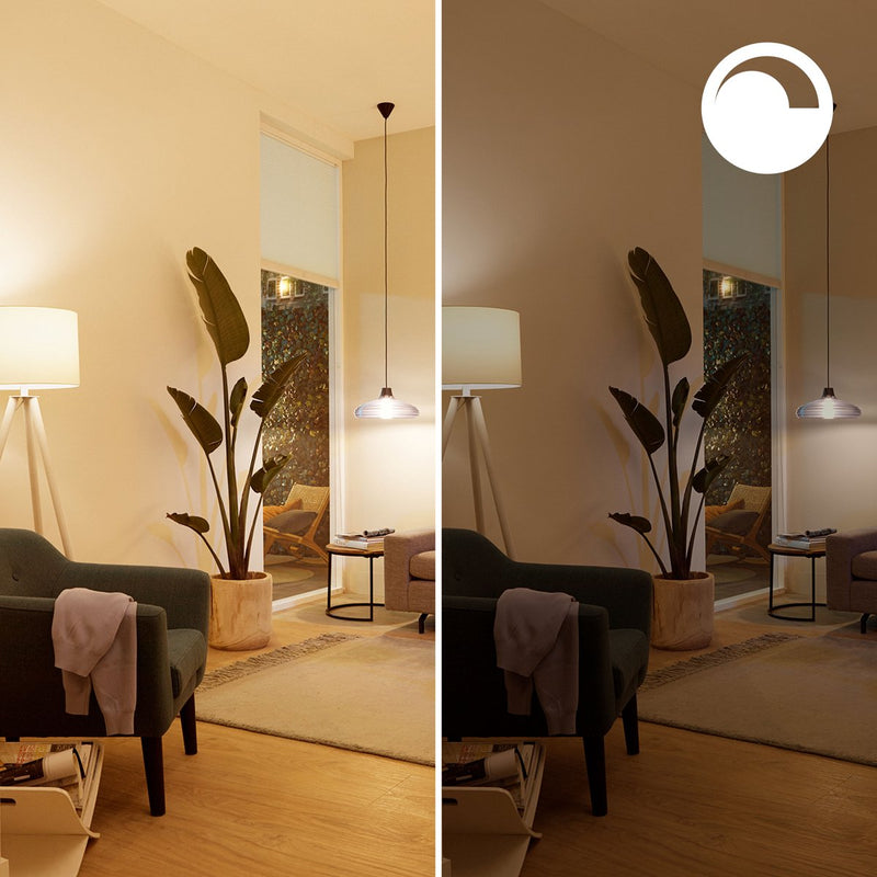 Philips lighting philips smart lighting - globe - slimme led-verlichting - gekleurd en wit licht - e27 - 75w - mat - wi-fi