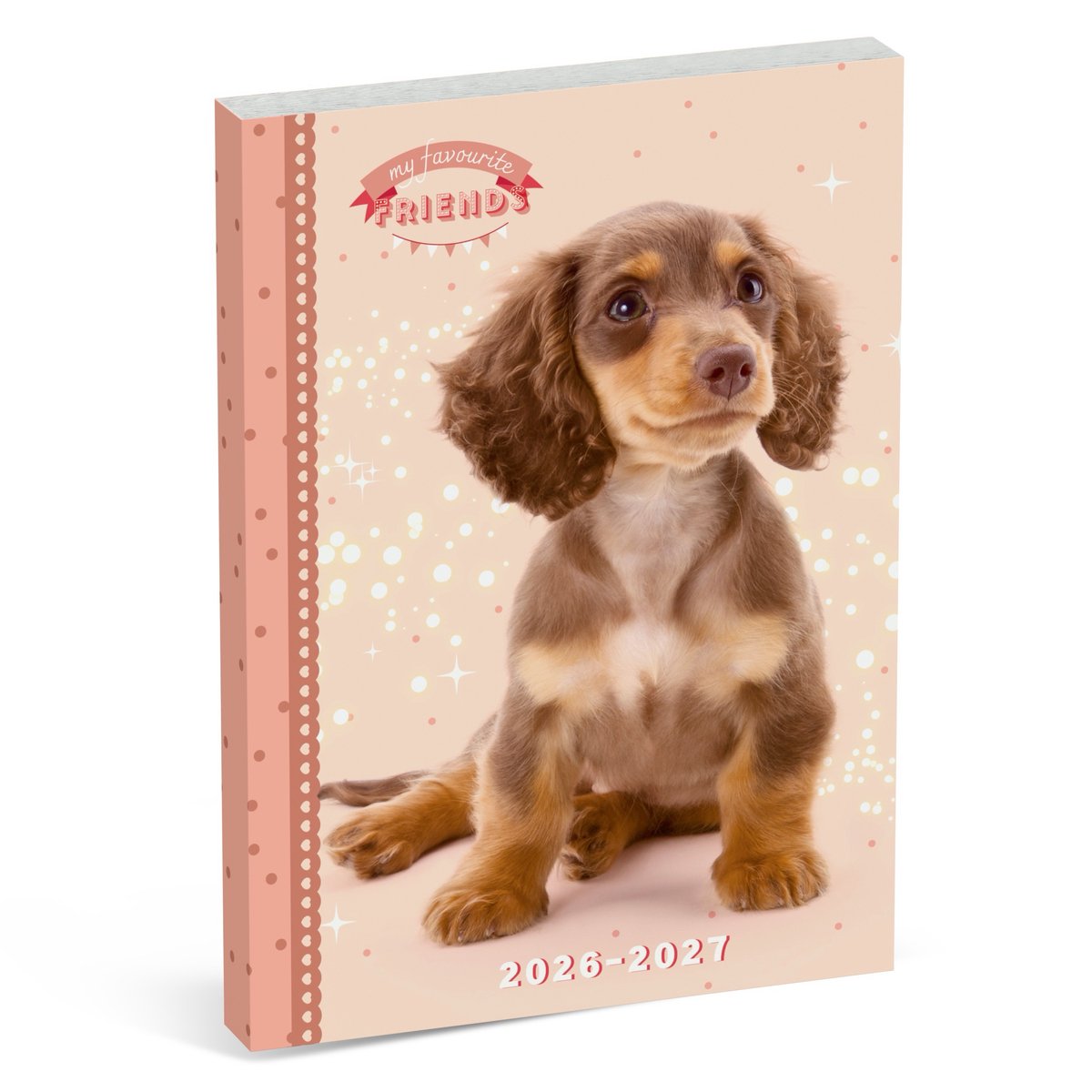 I miei amici preferiti agenda scolastica internazionale - cane