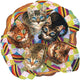 Puzzle Sunsout cestino per gatti puzzle Linda Elliott 750 pezzi di cartone.