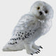 Harry potter : hedwig 12 inch plush