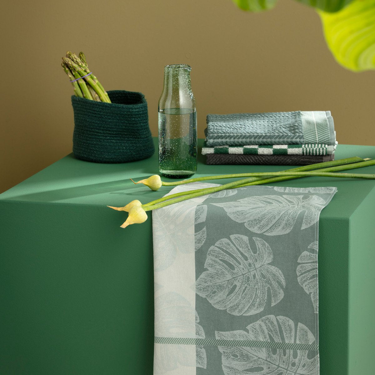 Ddddd - monstera - 6x paño de cocina - juego de 6 piezas - algodón - estampado de plantas - 60x65 cm - verde